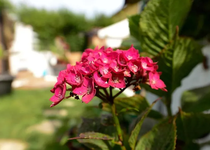 Rural Enjoy Cantabria *