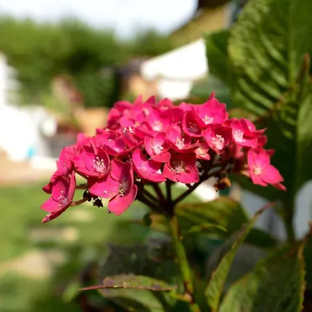 Rural Enjoy Cantabria *