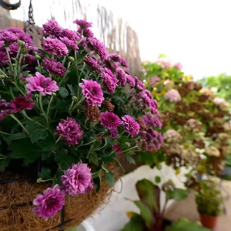 Rural Enjoy Cantabria