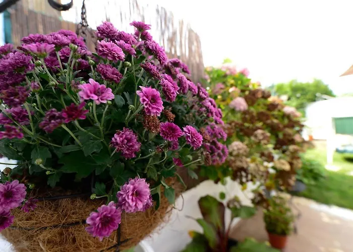 Rural Enjoy Cantabria